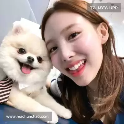 孟梅俭